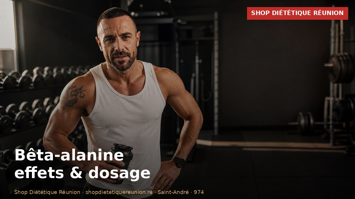 Bêta-alanine : effets, dosage, pour qui ?