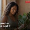 Ashwagandha à quoi ça sert ? - Shop Diététique Réunion 974