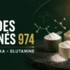 Acides aminés à La Réunion 974 : BCAA, EAA et glutamine